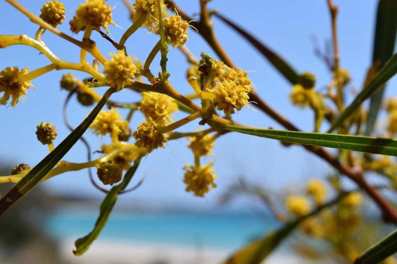 Eagle Bay House Bed & Breakfast Dunsborough Luaran gambar