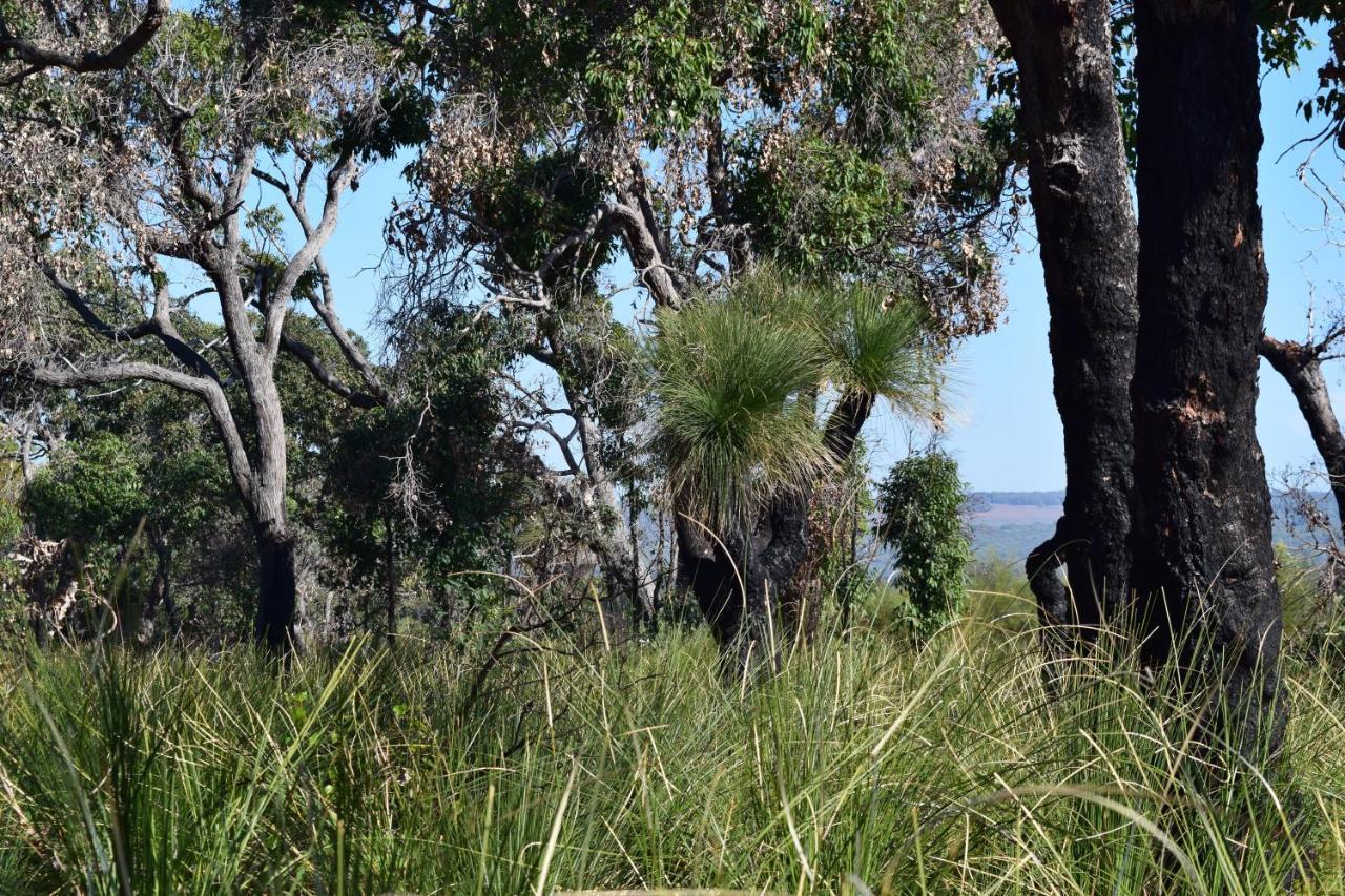 Eagle Bay House Bed & Breakfast Dunsborough Luaran gambar