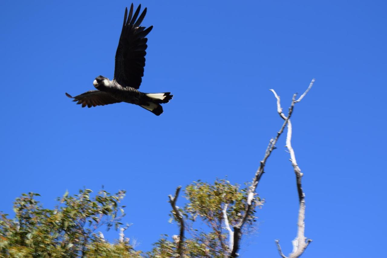 Eagle Bay House Bed & Breakfast Dunsborough Luaran gambar