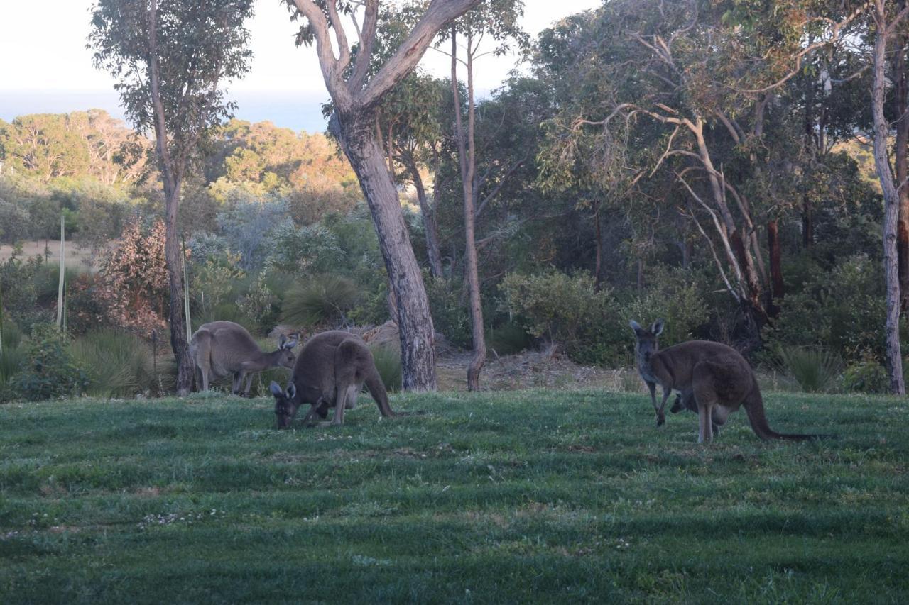 Eagle Bay House Bed & Breakfast Dunsborough Luaran gambar